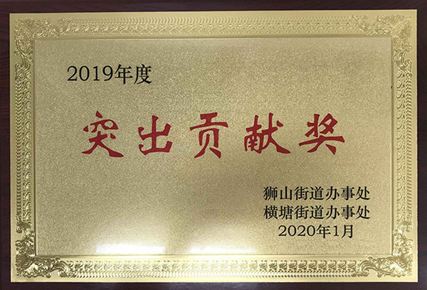 2019年度突出貢獻獎